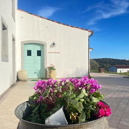 Tenute Testoni Agriturismo E B&B Bassacutena Экстерьер фото