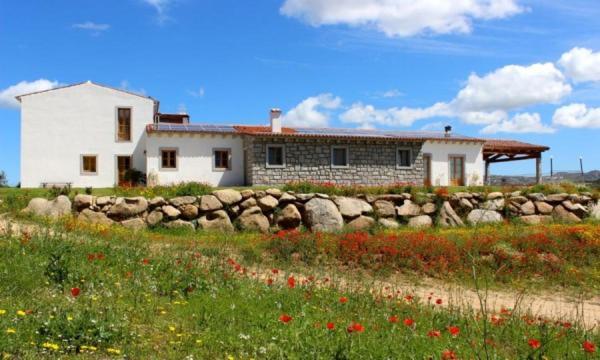 Tenute Testoni Agriturismo E B&B Bassacutena Экстерьер фото